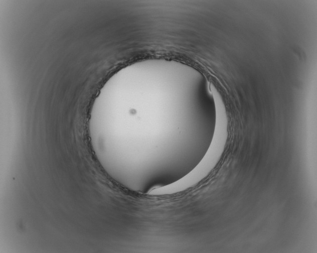 X0000113900865200910151354