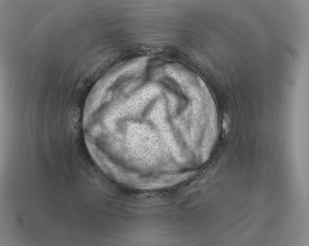 X0000113900867200910151354