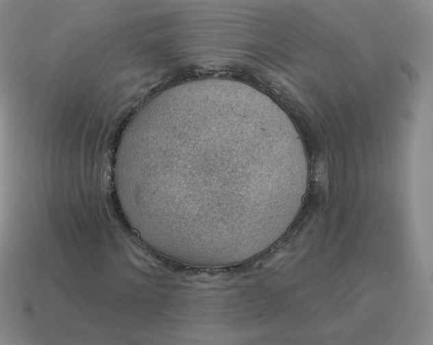 X0000113900868200910151354