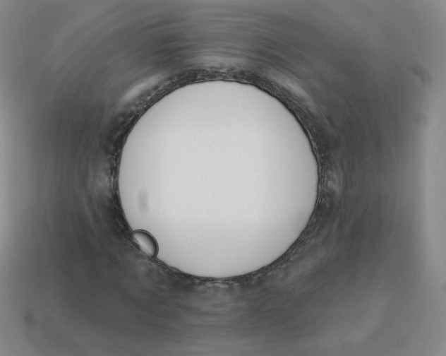 X0000113900869200910151354