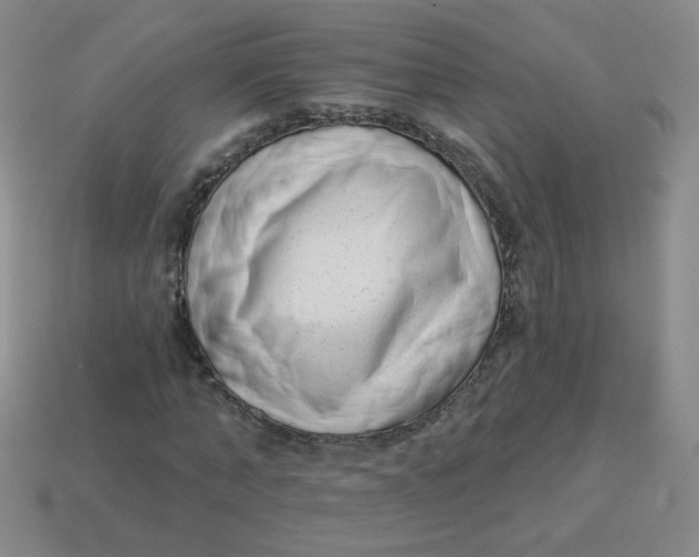 X0000113900870200910151354