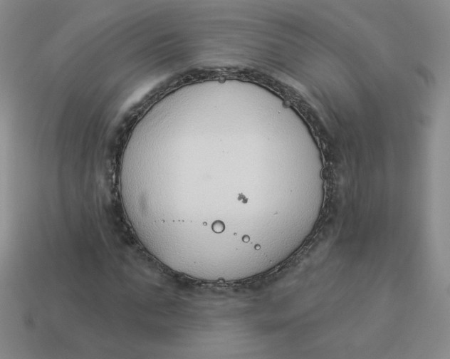 X0000113900871200910151354