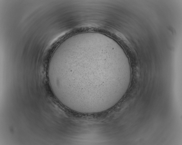 X0000113900872200910151354