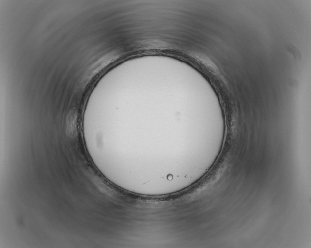 X0000113900873200910151354