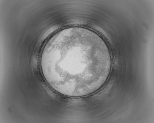 X0000113900874200910151354