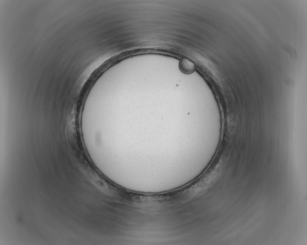 X0000113900875200910151354