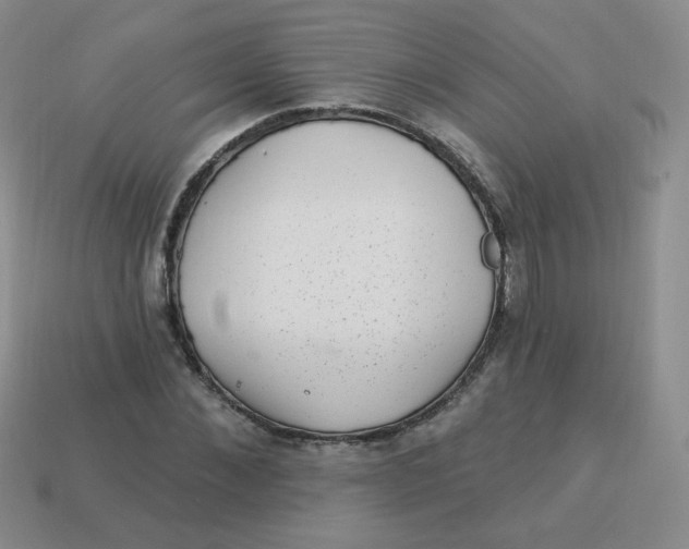 X0000113900876200910151353