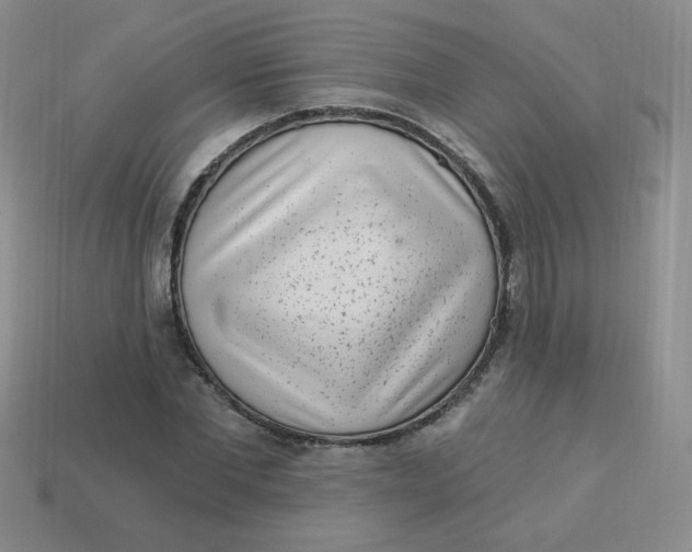 X0000113900877200910151353