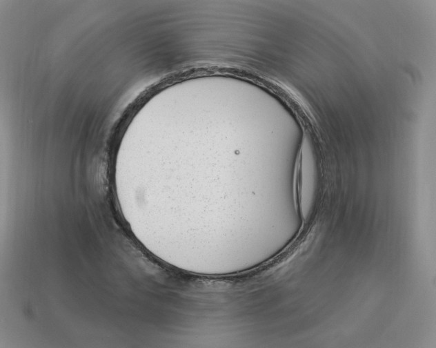 X0000113900878200910151353