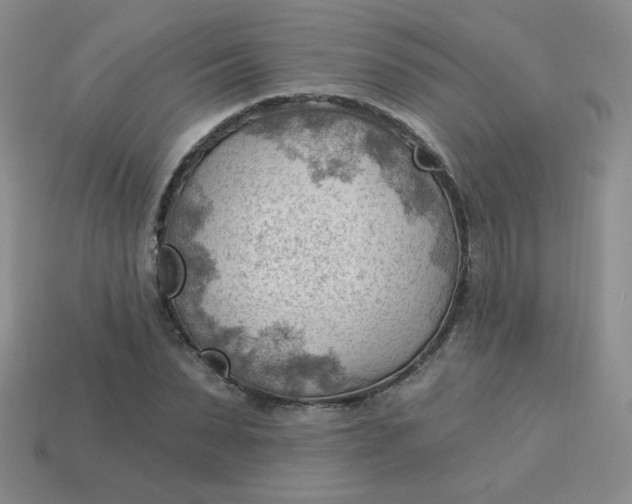 X0000113900879200910151353