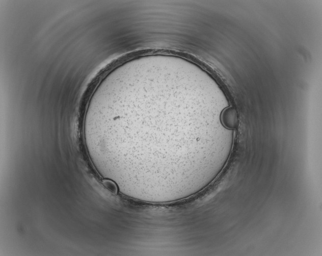 X0000113900880200910151353