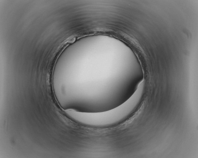 X0000113900881200910151353