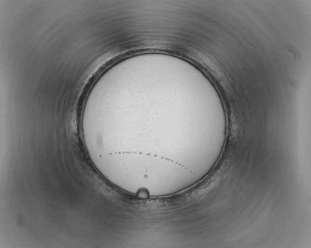 X0000113900883200910151353