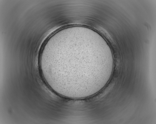 X0000113900884200910151353