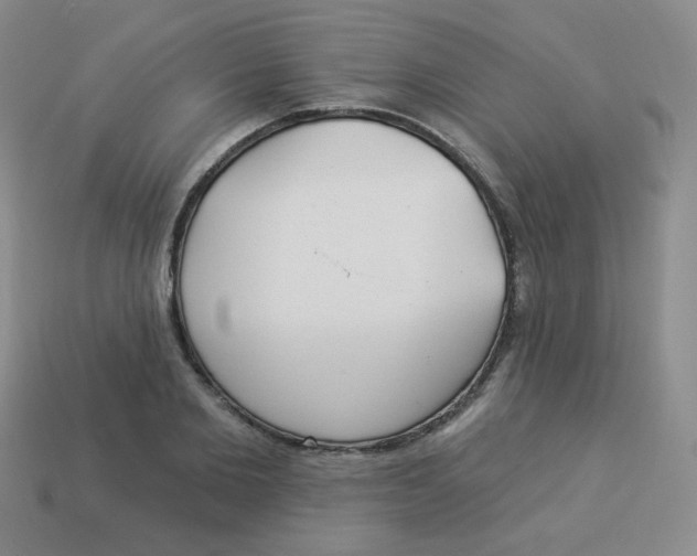 X0000113900885200910151353