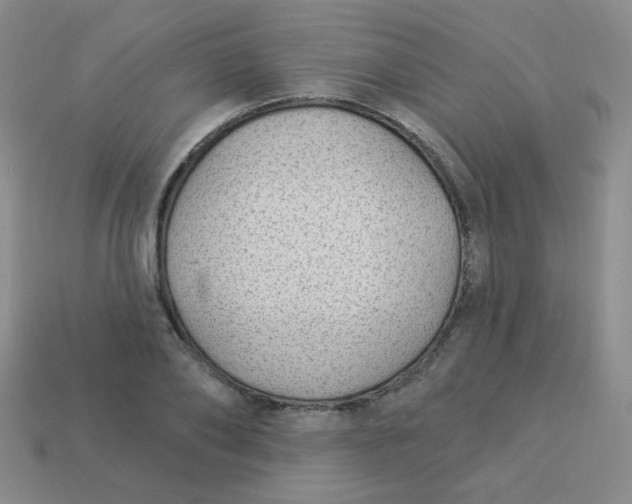 X0000113900886200910151353