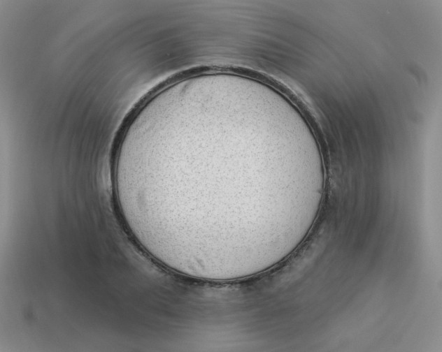 X0000113900887200910151353