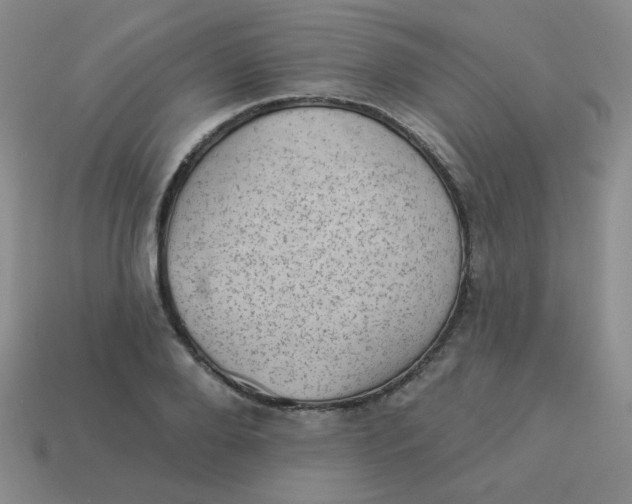 X0000113900888200910151353