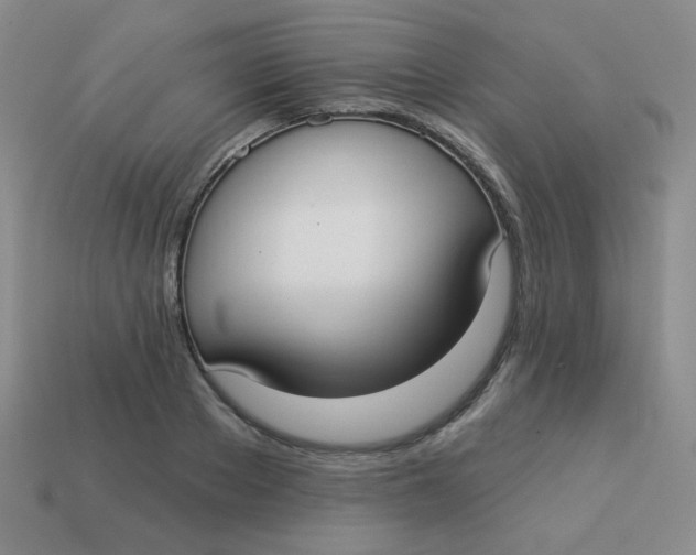 X0000113900889200910151353