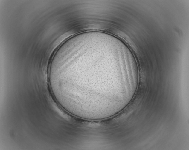 X0000113900890200910151353