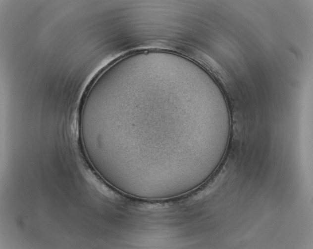 X0000113900892200910151353