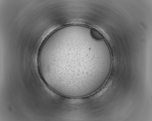 X0000113900893200910151353