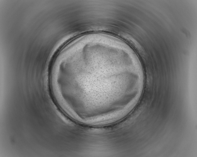 X0000113900894200910151353