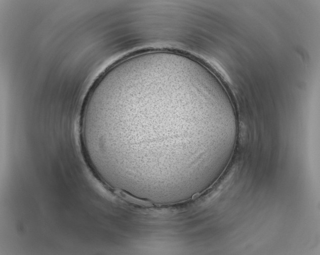 X0000113900895200910151353