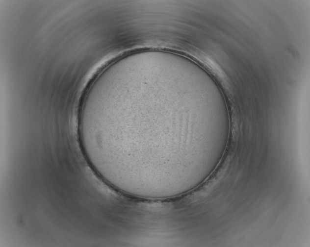 X0000113900896200910151353