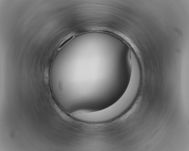 X0000113900897200910151353