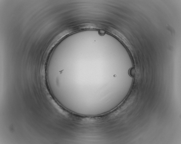 X0000113900898200910151353