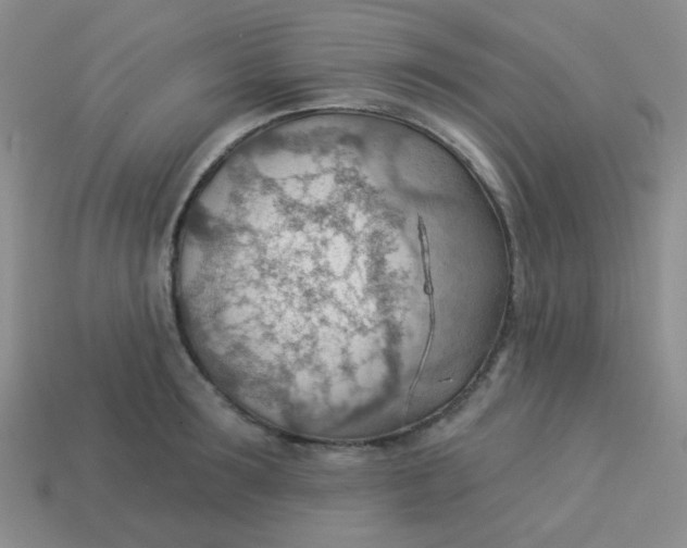 X0000113900899200910151353