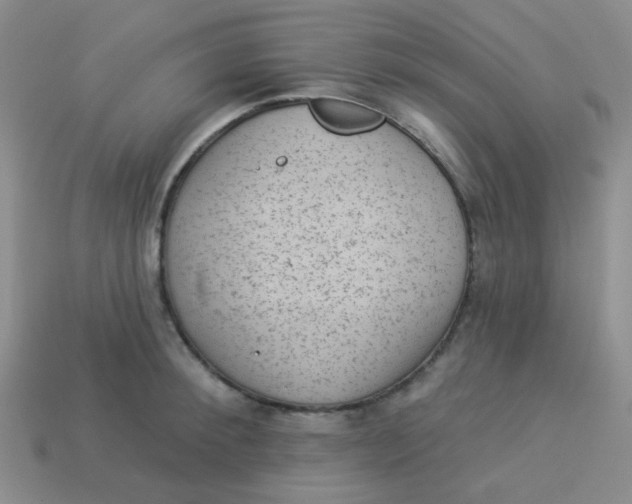 X0000113900900200910151353