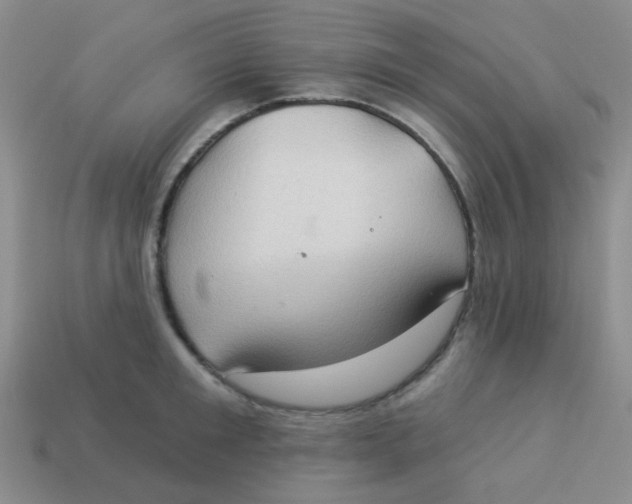 X0000113900901200910151353