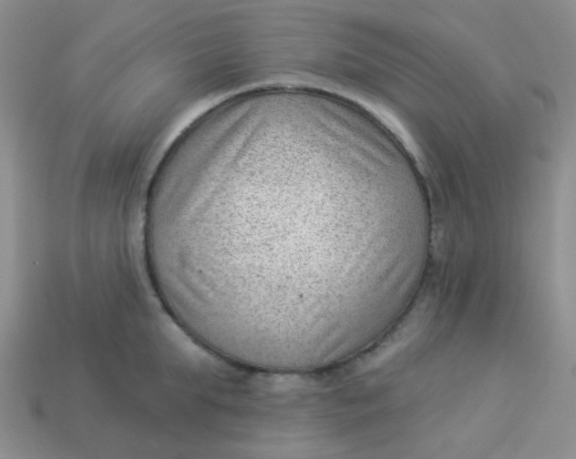 X0000113900903200910151353