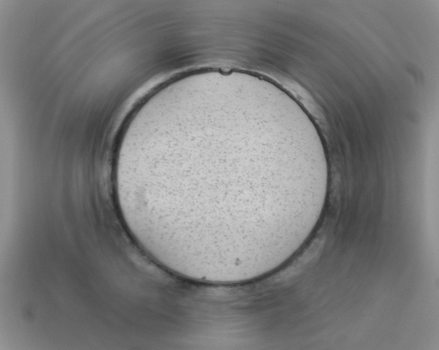 X0000113900904200910151353