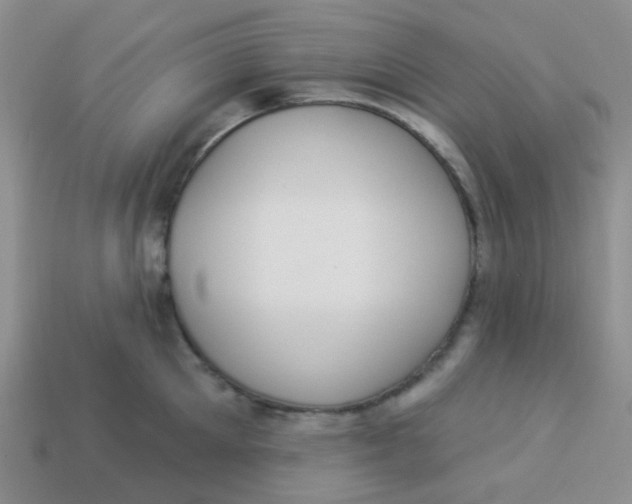 X0000113900905200910151353