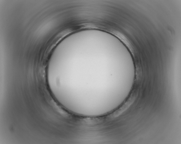 X0000113900906200910151353