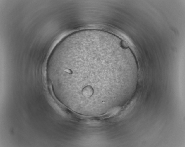 X0000113900907200910151353