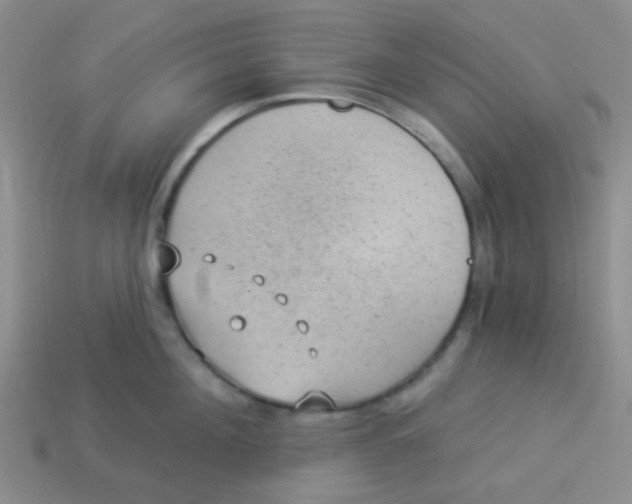 X0000113900908200910151353