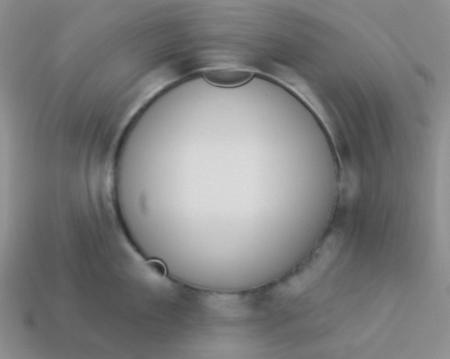 X0000113900909200910151353