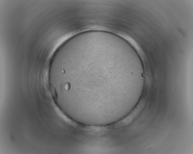 X0000113900910200910151353