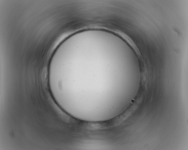 X0000113900911200910151353