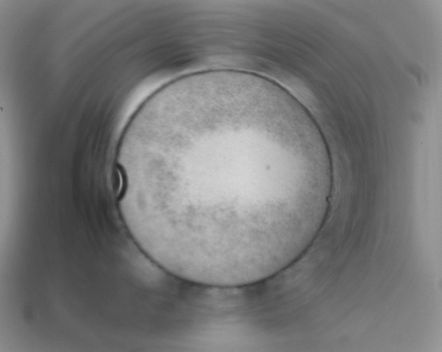 X0000113900912200910151353