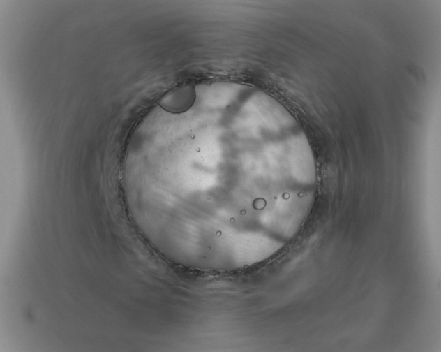 X0000113900913200910151352