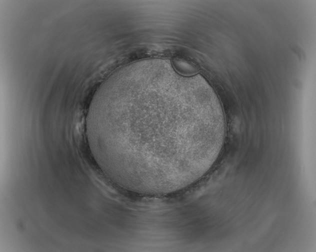 X0000113900914200910151352