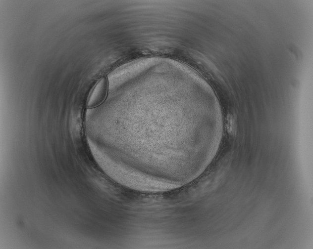 X0000113900915200910151352