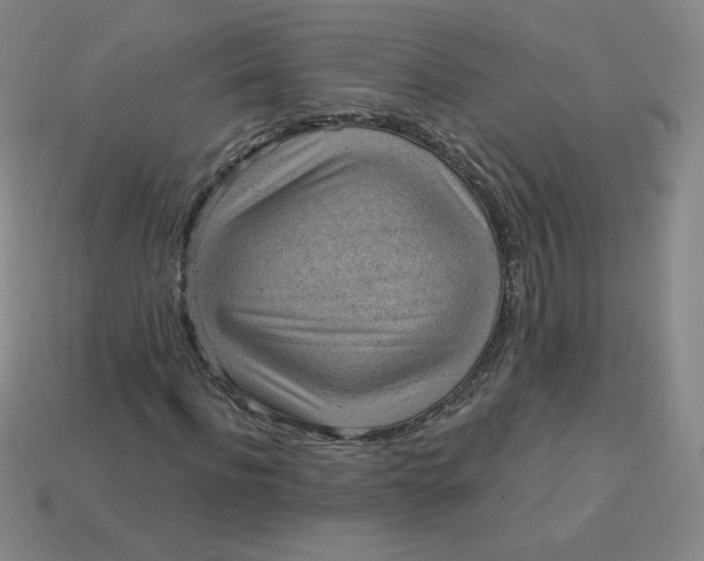 X0000113900916200910151352