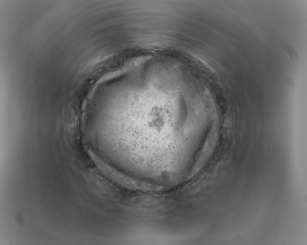 X0000113900917200910151352