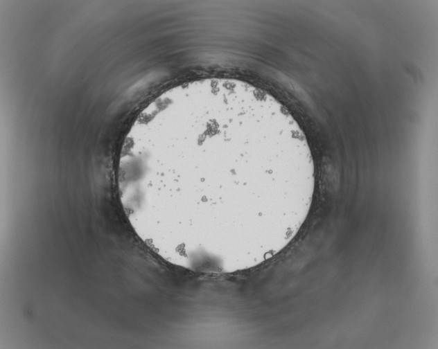 X0000113900918200910151352